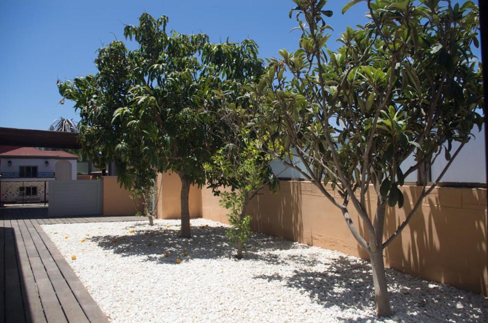 Villa La Marosca - Jacuzzi, Private Pool, 3 Bedrooms Caleta De Fuste Dış mekan fotoğraf